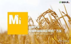 <b><b>同时保障食物的平安性和</b></b>